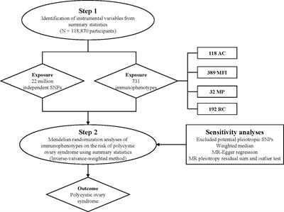 Causal association of immune cells and polycystic ovarian syndrome: a Mendelian randomization study